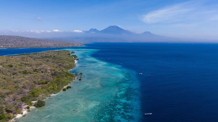 West Bali Tour: Discover Menjangan Island & West Bali National Park