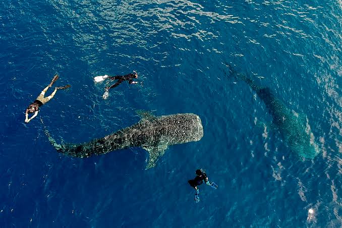 Sumbawa — luxury travel