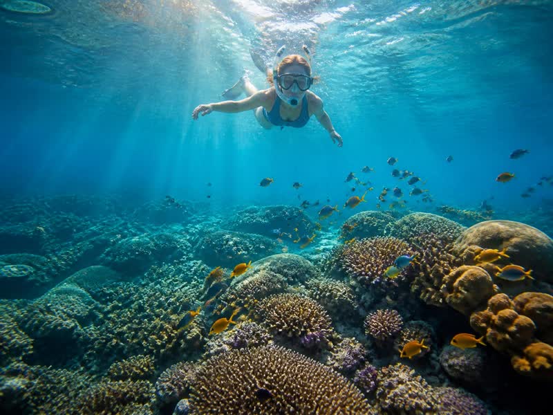 Snorkeller above a coral garden with tropical fish near Menjangan Island, West Bali